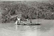 Canoe Fisherman with Fish, Tocantins River 1927