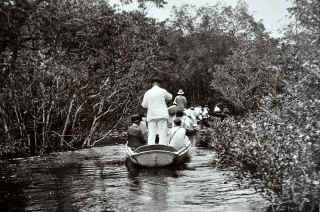 Igapo, Flooded Forest, on the way to Taruma Falls, 1927