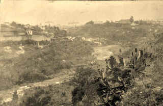 Funchal, Madeira, from hillside, 1930s