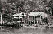 Caboclo Hut, Tocantins River, Para, Brazil, 1927