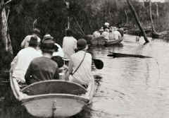 Rowing boats entering the igapo on the Rio Tarumã