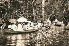 Deeper into the flooded igapo forest of the Rio Tarumã