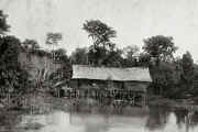 Caboclo Hut, Brévés, Para, Brazil, 1927