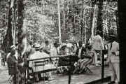 The Bosque Gardens Belem Para 1927