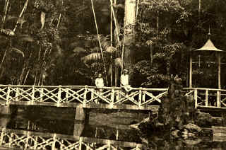 Bosqué, Para, Belem, Jungle, Garden, 1927