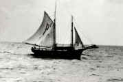 Pilot Boat, Para, Brazil, off Salinas, 1927