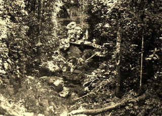 View from top of Taruma Falls