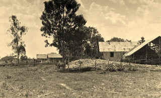 Dr Ribeiro’s farm